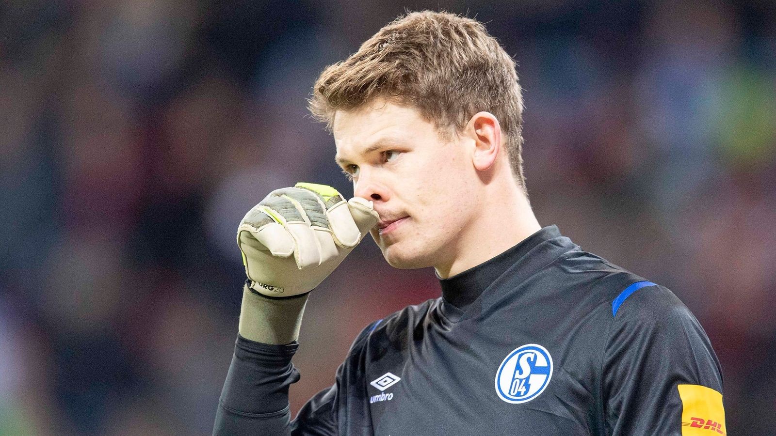 转会期突围战来临；夏洛特黄蜂围绕德国杯门线救险；目标明确；球队文化再被提及的简单介绍